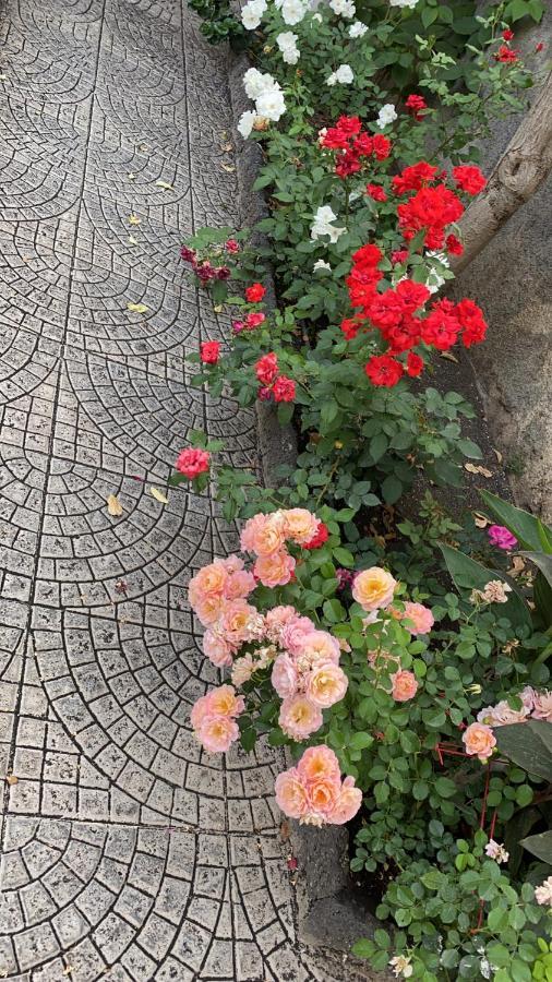 Casa Delle Rose Catânia Exterior foto